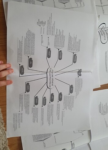  Beden Renk KPSS Tarih Kitabı ve 10 Çarşaf Boy Kavram Haritası 