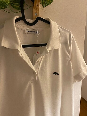 m Beden Lacoste Elbise