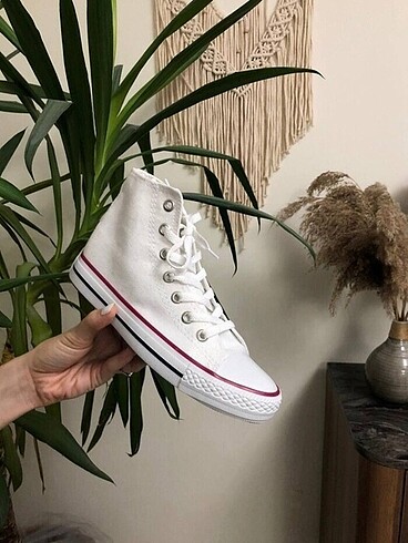 37 Beden Converse