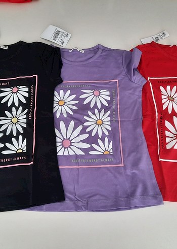 Civil Standart Beden