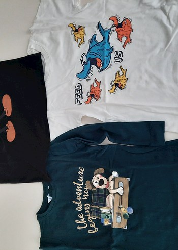 Civil Standart Beden