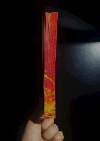 Rapunzel-Yasaklanmış Masallar Serisi - Görsel 2