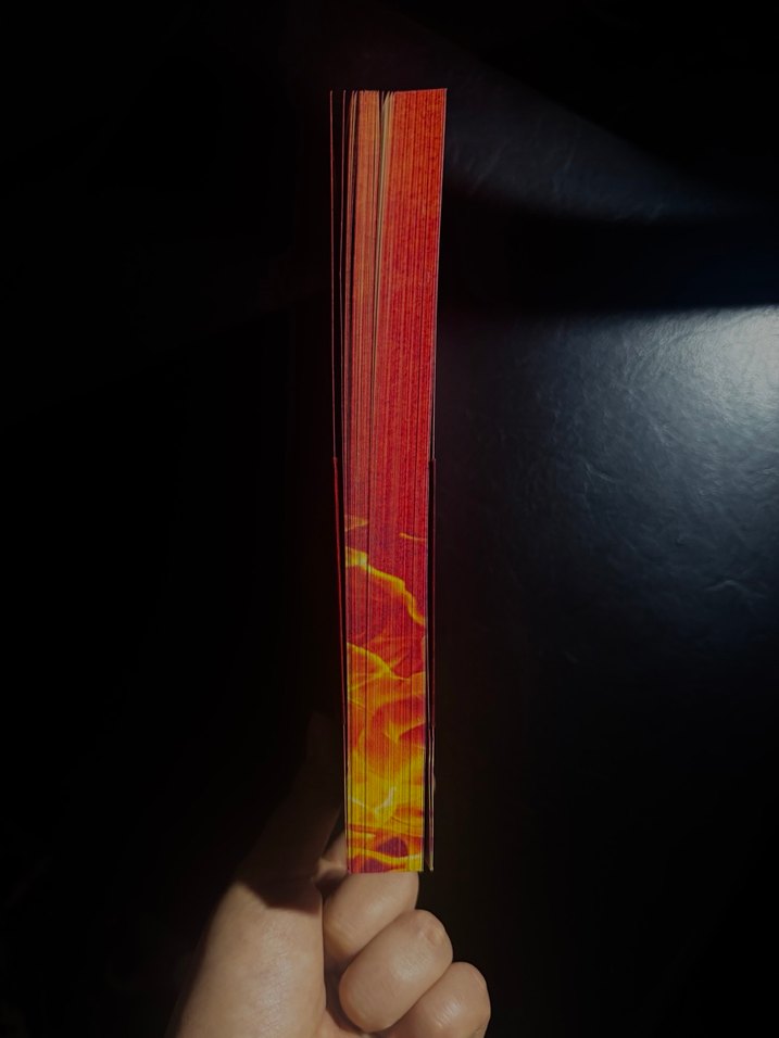 Rapunzel-Yasaklanmış Masallar Serisi - Görsel 2