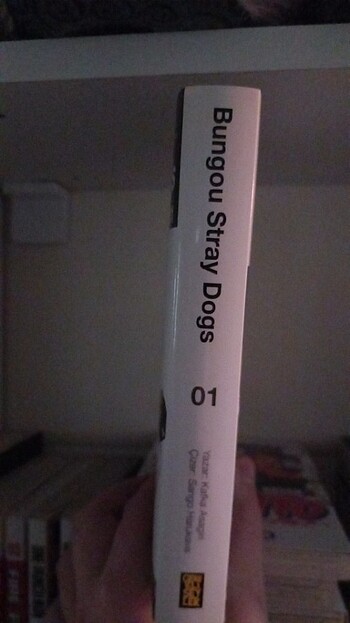 Bungou stray dogs 1-2
