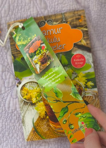 Beden Ihlamur Kokulu Hikayeler - Kokulu Kitap