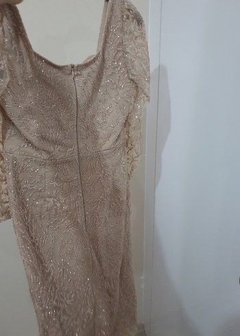 Bej  Uzun Kollu Abiye - Görsel 4