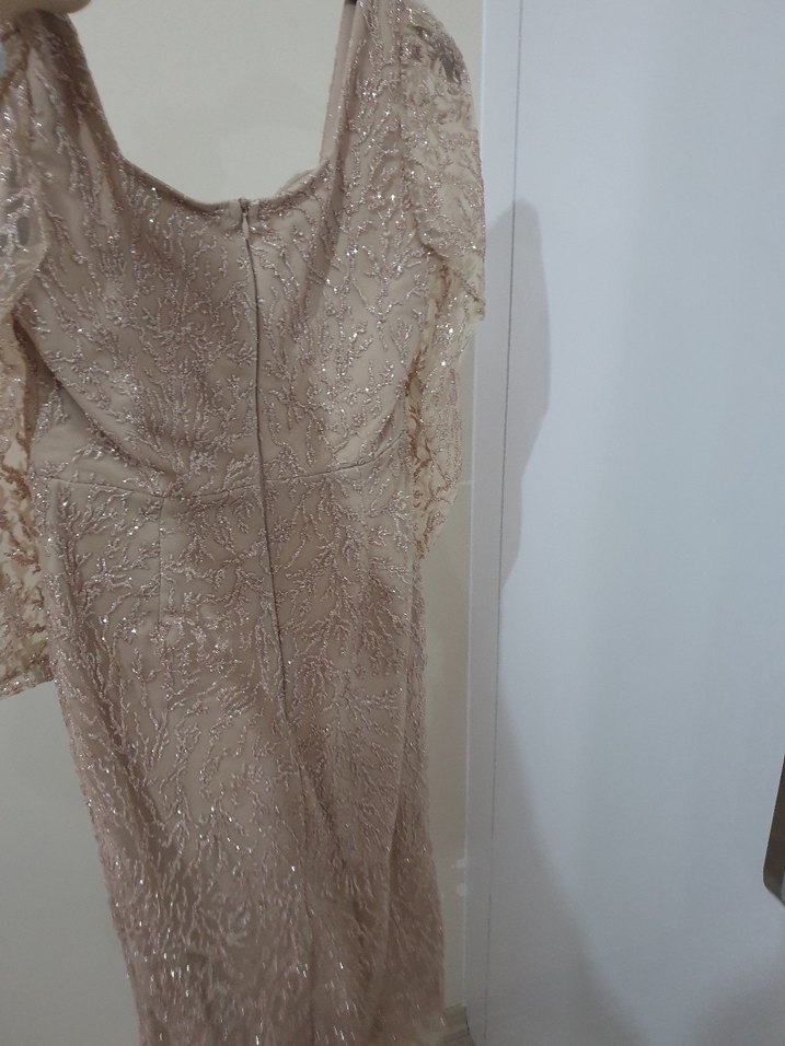 Bej  Uzun Kollu Abiye - Görsel 4