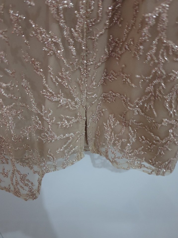 Bej  Uzun Kollu Abiye - Görsel 3