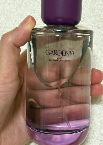 Zara Parfüm - Görsel 3