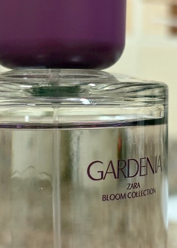 Zara Parfüm - Görsel 2