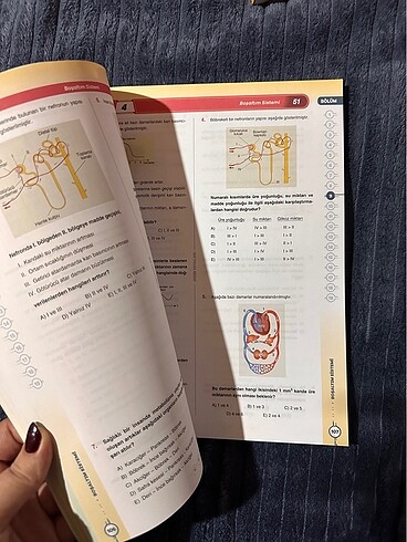 Aydın AYT Biyoloji - Görsel 2