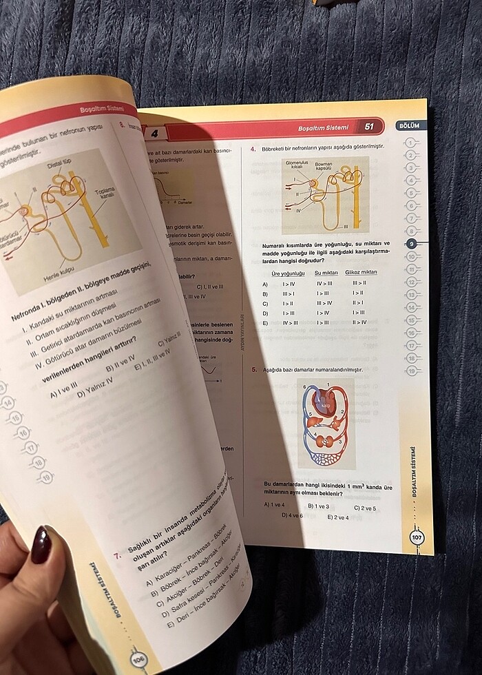 Aydın AYT Biyoloji - Görsel 2