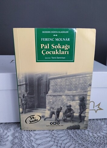 Pal sokağı çocukları 