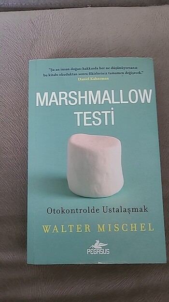 Marshmallow Testi