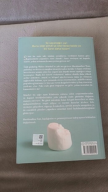  Marshmallow Testi