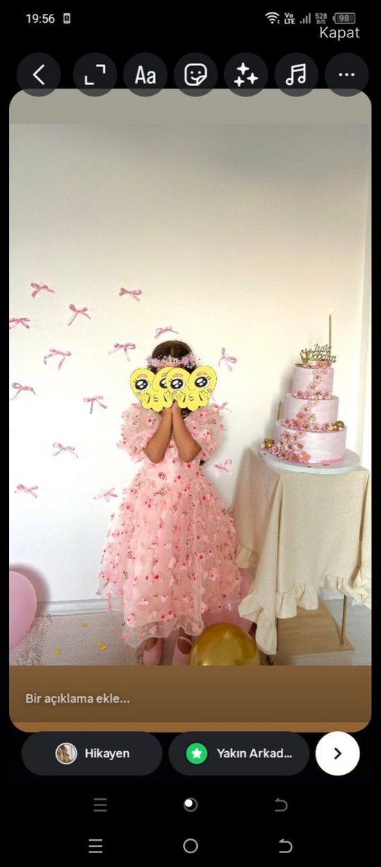 Pembe Nakışlı Kız Elbisesi - Görsel 5