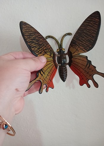 büyük boy kelebek magnet - Görsel 5