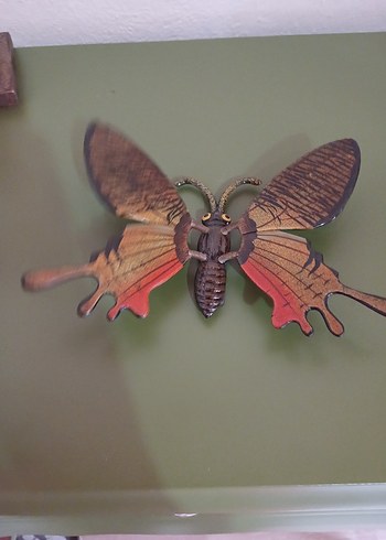 büyük boy kelebek magnet - Görsel 4