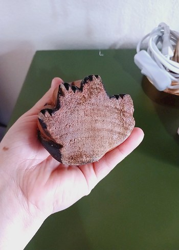 Renkli Kahverengi Kedi Biblosu ahşap içi dolu ağaç - Görsel 5