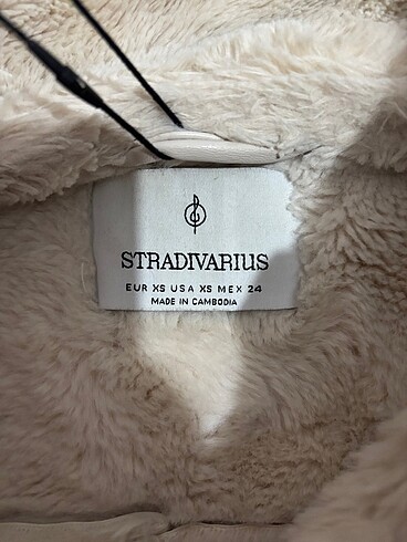 Stradivarius Stradi mont