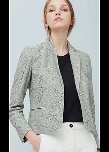 Blazer ceket
