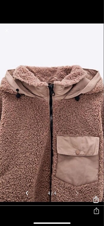 Zara zara mont