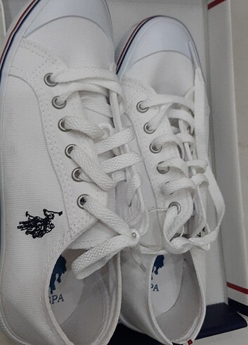 U.S polo penelope sneaker