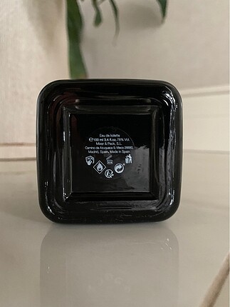 Zara zara black amber parfüm