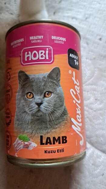 400 gr kedi konserve mama 20 adet