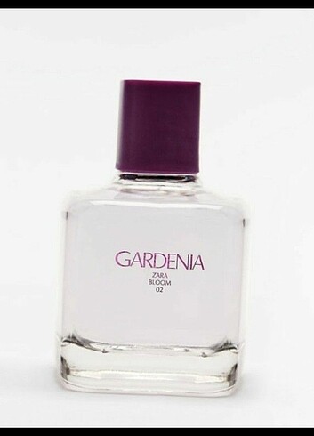Gardenia ZARA Parfüm 