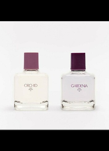 Zara ZARA Parfüm Orchid ve Gardenia 180 ml 