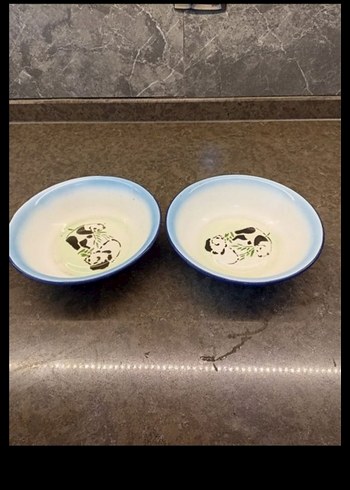 Mavi Kenarlı Leopar Desenli Tabak - Görsel 4