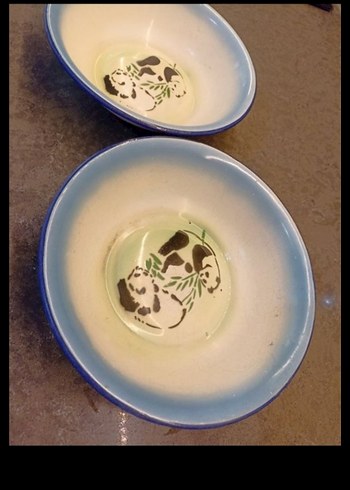 Mavi Kenarlı Leopar Desenli Tabak - Görsel 8