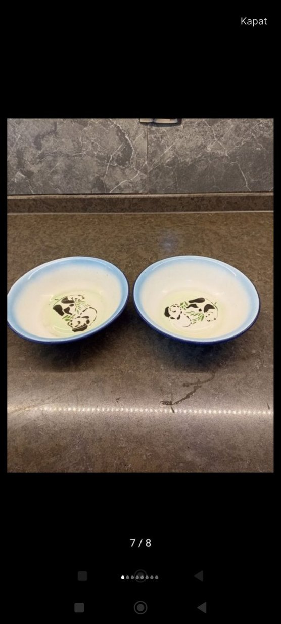 Mavi Kenarlı Leopar Desenli Tabak - Görsel 4