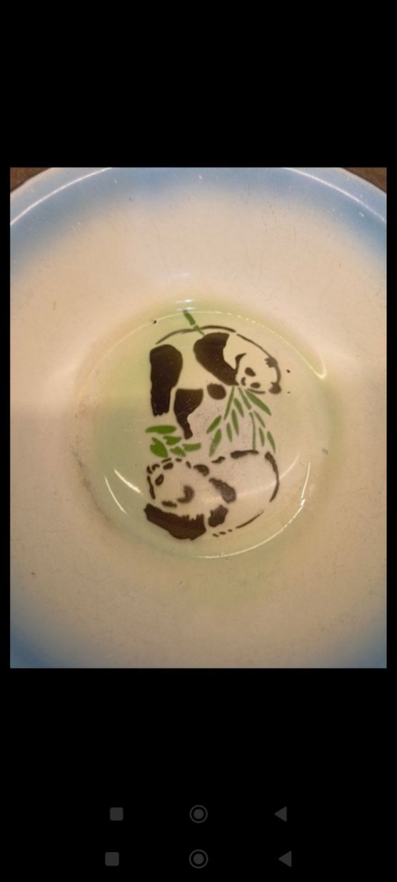 Mavi Kenarlı Leopar Desenli Tabak - Görsel 5