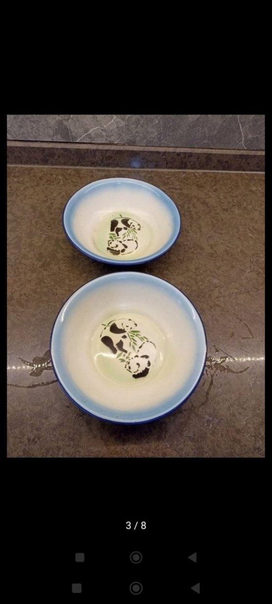 Mavi Kenarlı Leopar Desenli Tabak - Görsel 3