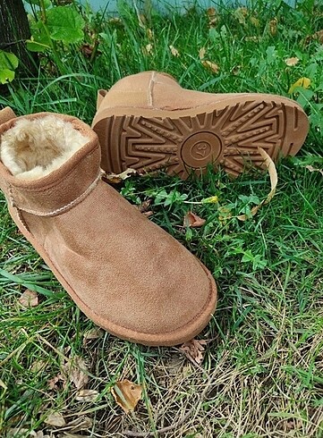37 Beden Ugg Bot