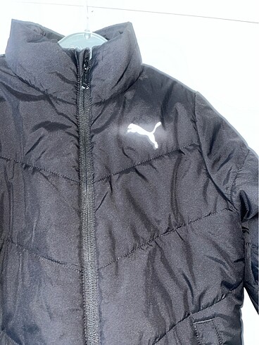 Puma Puma mont
