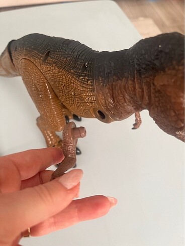 Beden Renk Trex kumandalı