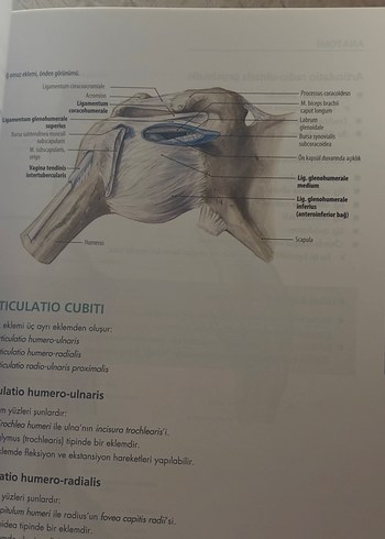 Beden Renk İstanbul Tıp Kitabevleri Anatomi Kitabı