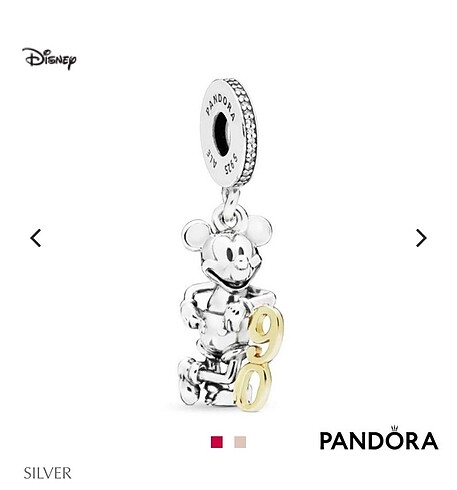 Pandora disney charm
