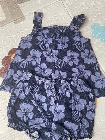Carters 24M takim