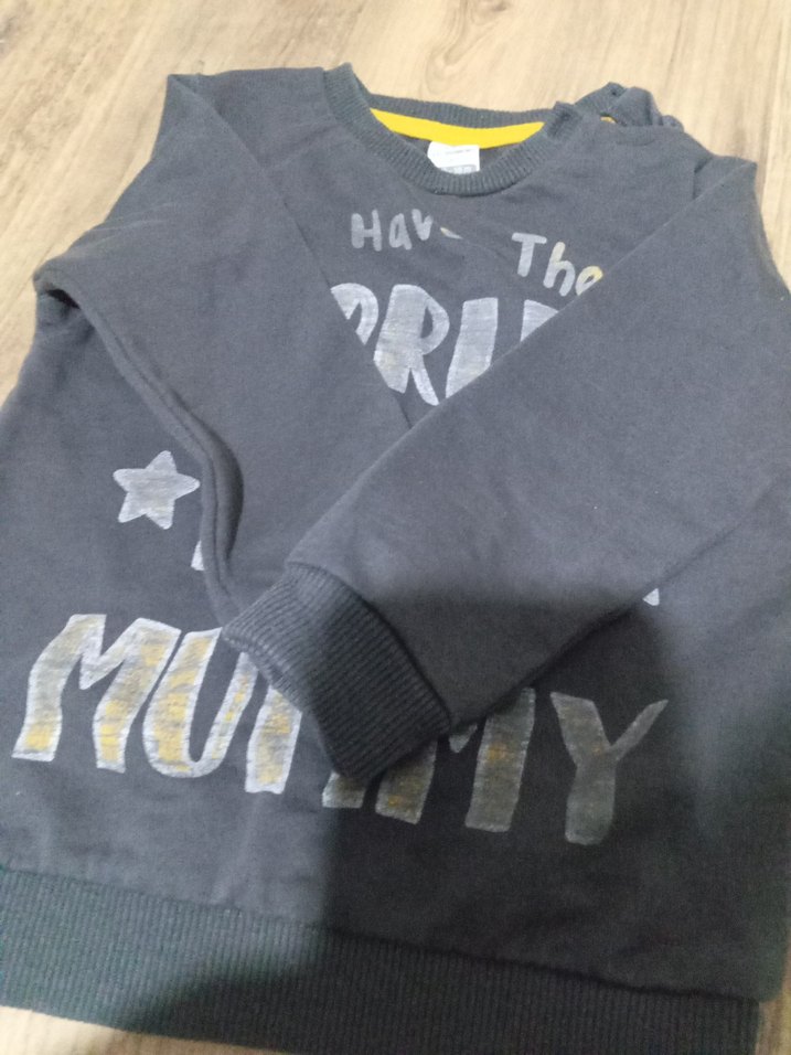 Gri Erkek Çocuk Baskılı Sweatshirt - Görsel 3