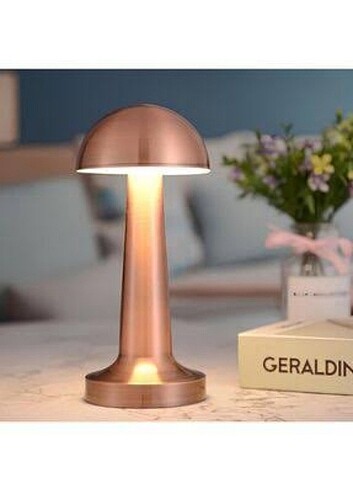 Cara mantar led 