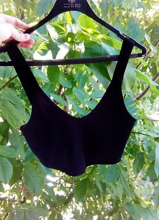 Mango crop