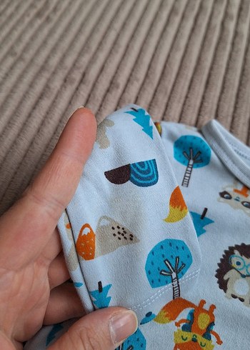 Uzun kollu zıbın - Görsel 3