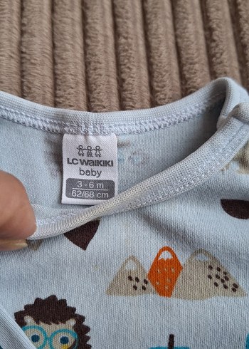 Uzun kollu zıbın - Görsel 2