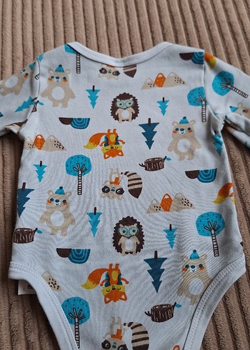 Uzun kollu zıbın - Görsel 4