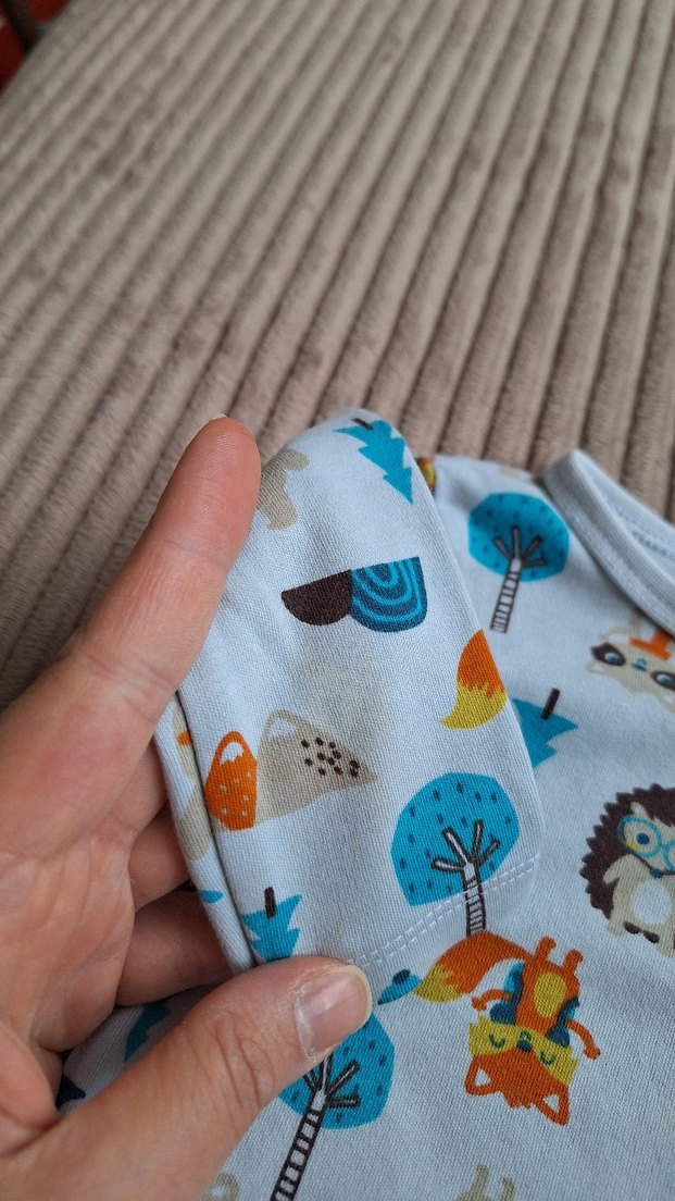 Uzun kollu zıbın - Görsel 3