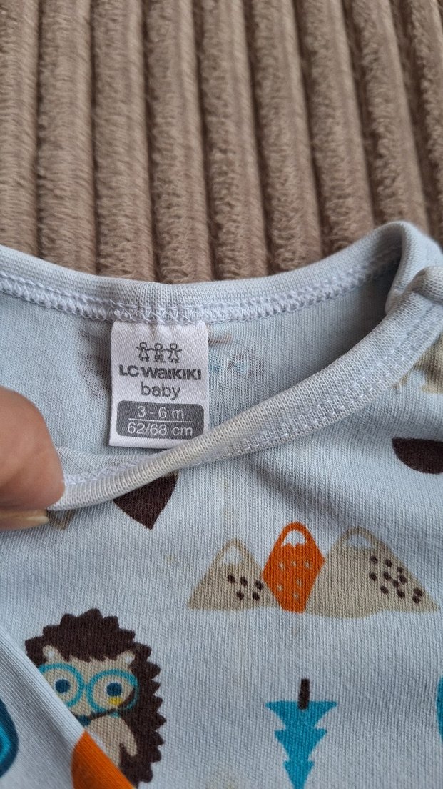 Uzun kollu zıbın - Görsel 2